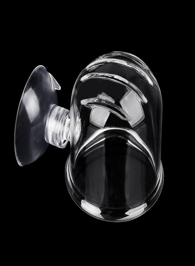 WEAVERBIRD Aquarium Glass Cone Feeder Red Worm Fish Tank Plant Shrimp Feeder Fish Feeding Cup - Image 5